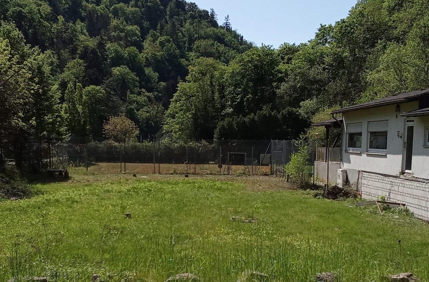Grüne Wiese mit Bäumen im Hintergrund und einem kleinen Gebäude rechts.